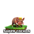 Vignettes super-cochon D-A-T-R-D-300px.png